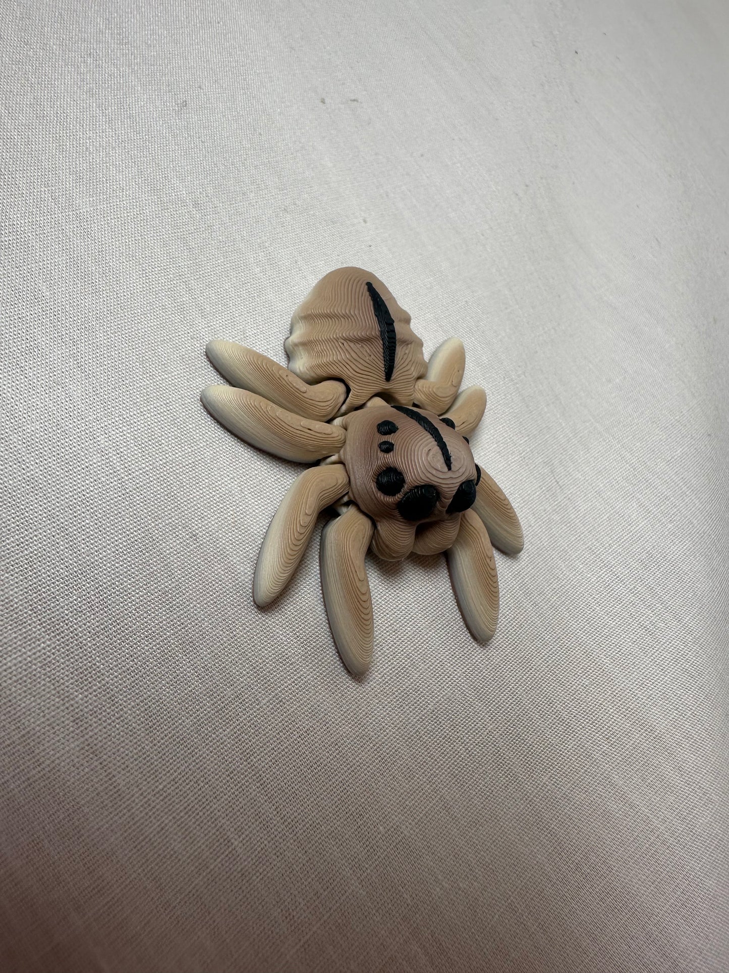 3D Printed Baby Jumping Spider Decorative Figurine