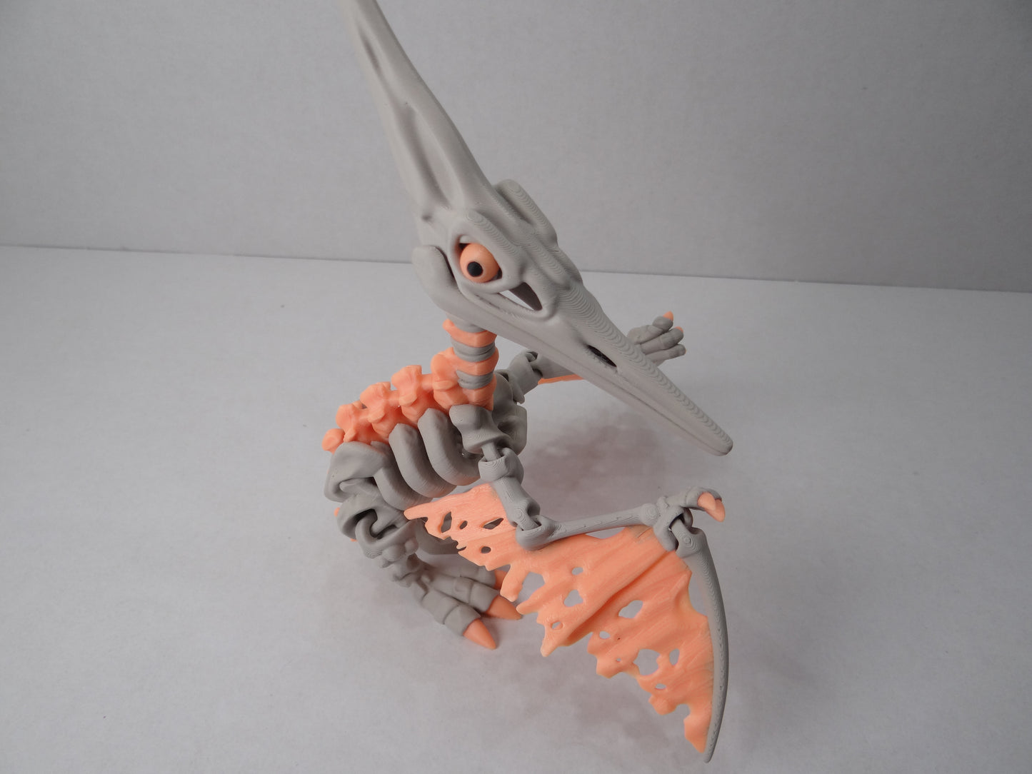 Articulating Skeleton Pteranodon – 3D Printed Prehistoric Flying Reptile