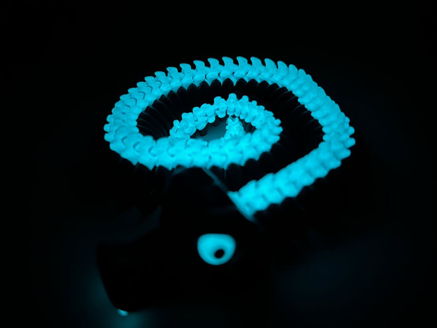 3D Printed Articulating Skeleton Snake – Poseable Serpent Model – Glow in Dark or Rainbow Gradient