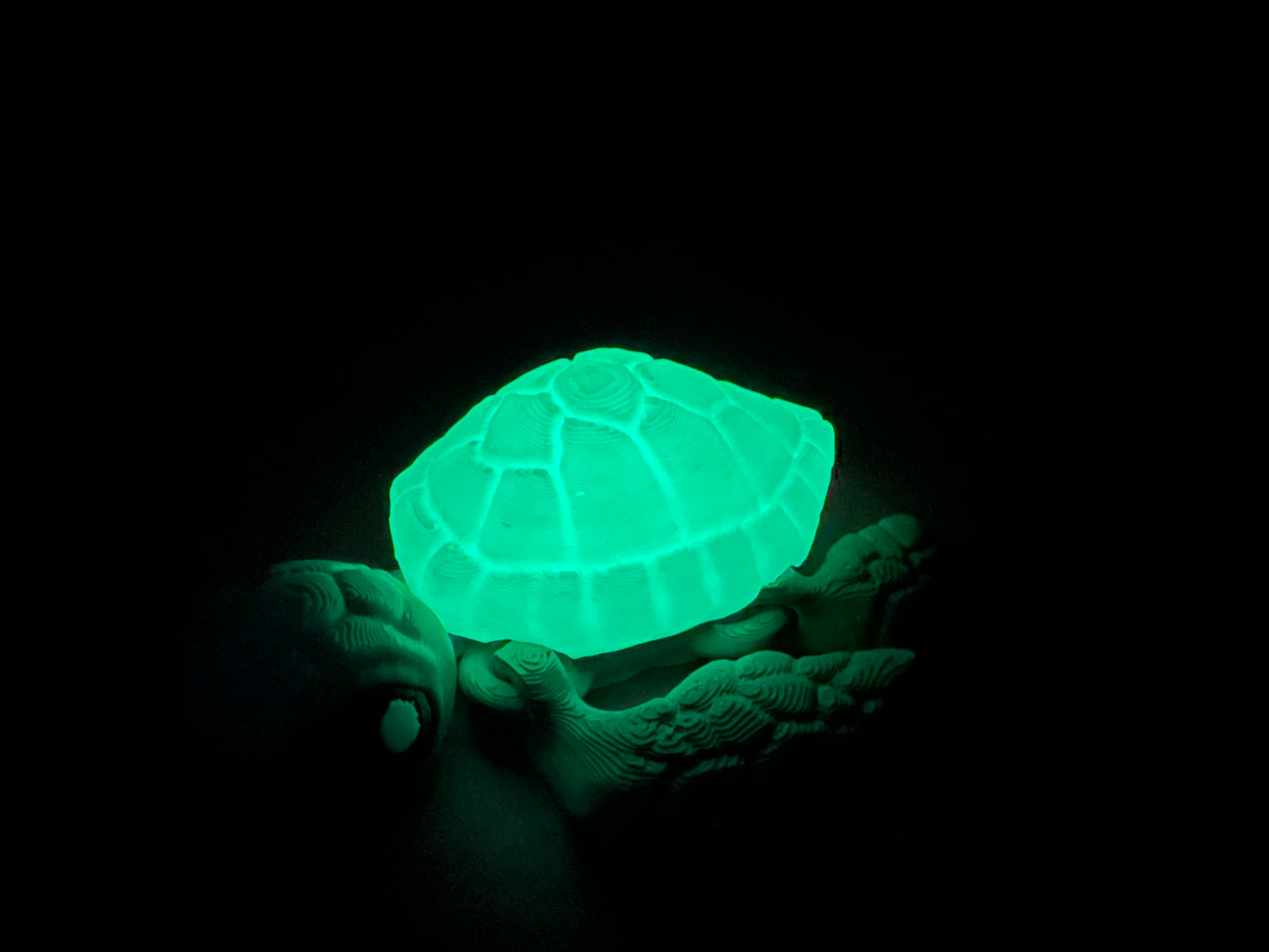 3D Printed Articulating Sea Turtles – Ocean-Inspired Poseable Decor