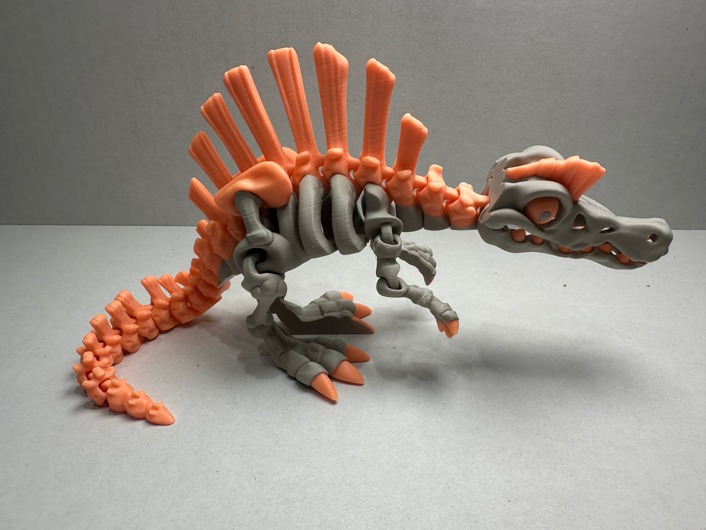Articulating Skeleton Spinosaurus – 3D Printed Dinosaur Fossil Collectible