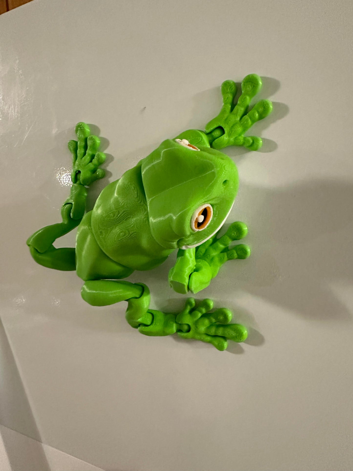 Articulating White's Tree Frog 3D Printed Fidget
